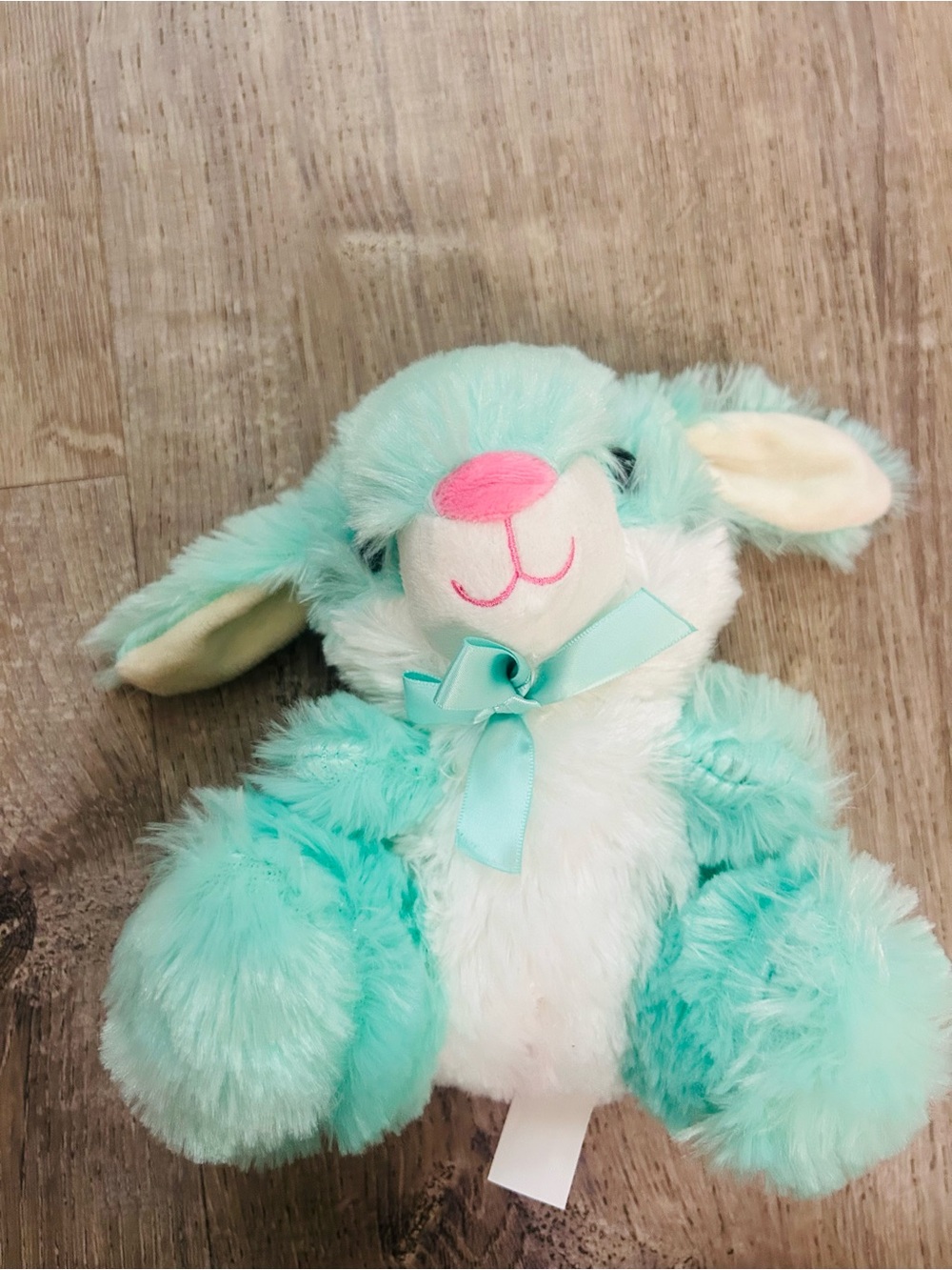 Unlisted Mint Green Plush Bunny with White Accent